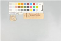 五色鳥藏品圖，第20張